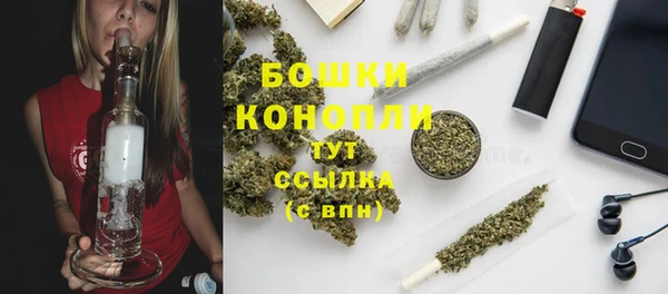 стафф Бородино