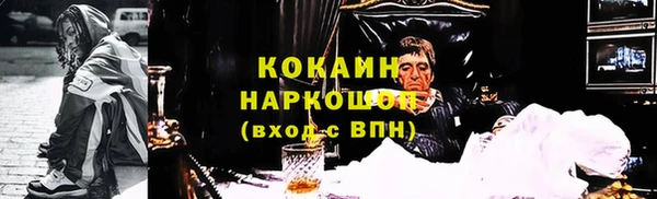 стафф Бородино