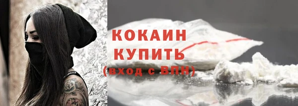 стафф Бородино