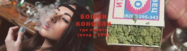 стафф Бородино