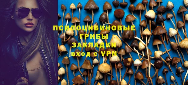 стафф Бородино