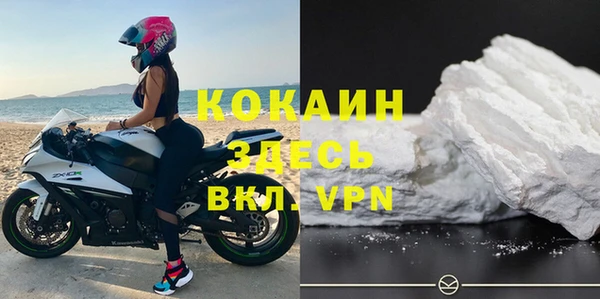 стафф Бородино